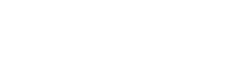 DAYNET